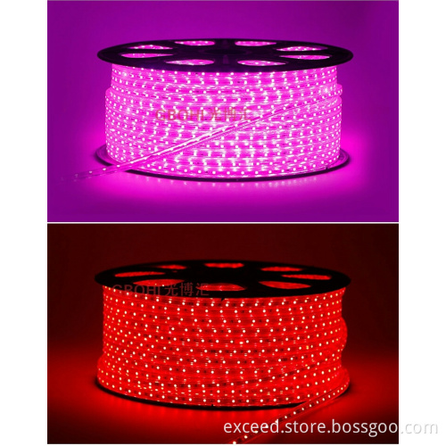 3528 SMD Flexible LED Strip Light